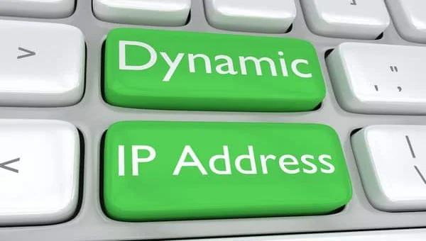 IP Pública, Dinámica y Fija